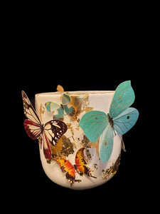 The Butterfly Effect Planter